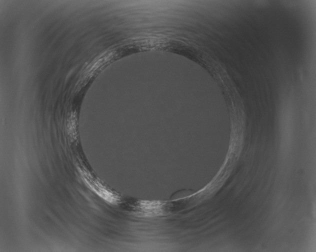 X0000085820144200703161232