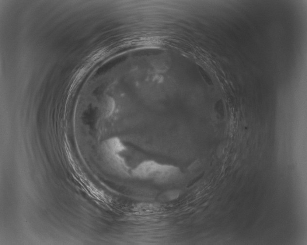 X0000085820145200703161232