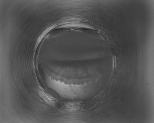 X0000085820147200703161232