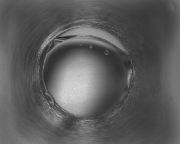 X0000085820150200703161232
