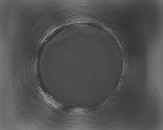 X0000085820154200703161232