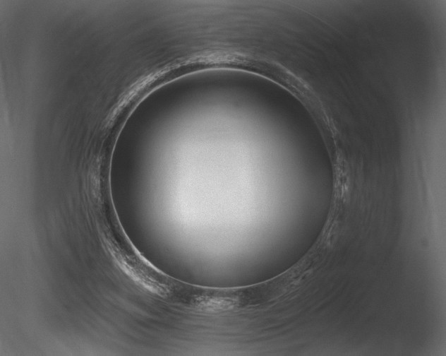 X0000085820155200703161232