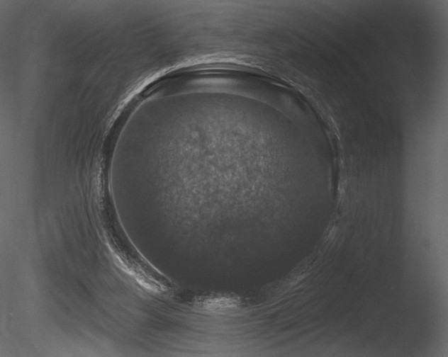 X0000085820156200703161232