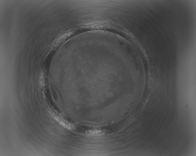 X0000085820161200703161232