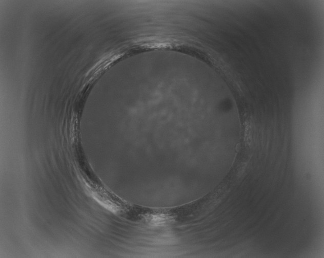 X0000085820165200703161232