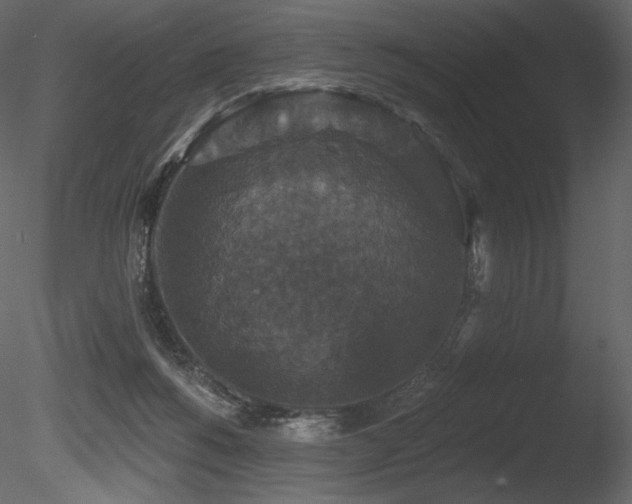 X0000085820168200703161232