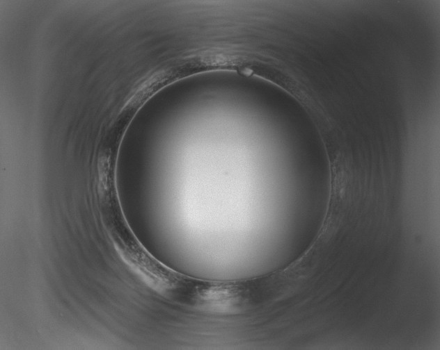 X0000085820171200703161232