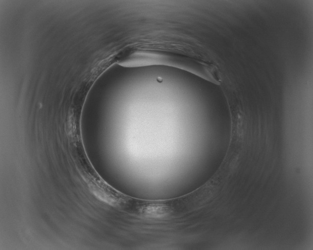 X0000085820173200703161232