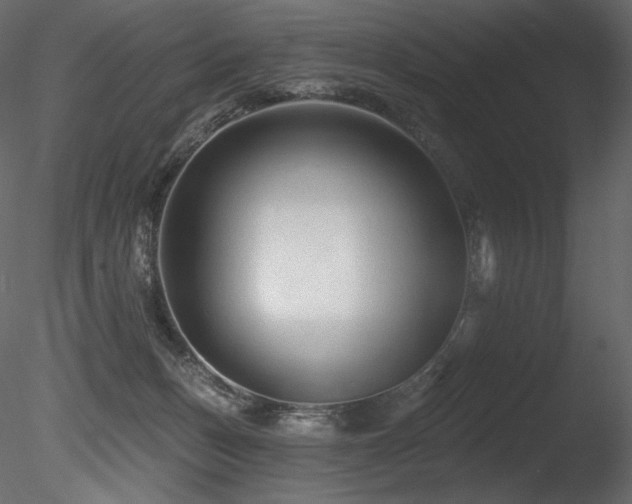 X0000085820175200703161232