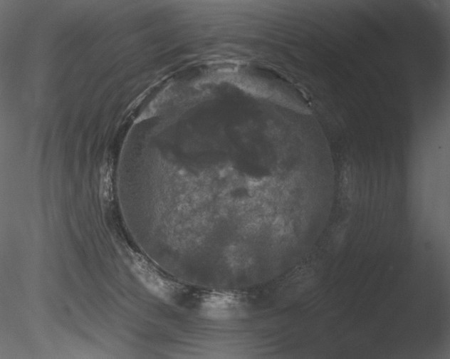 X0000085820177200703161232