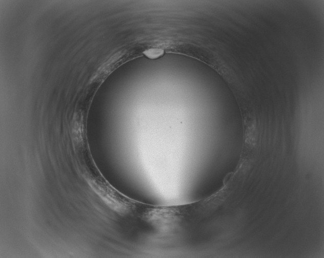 X0000085820179200703161232