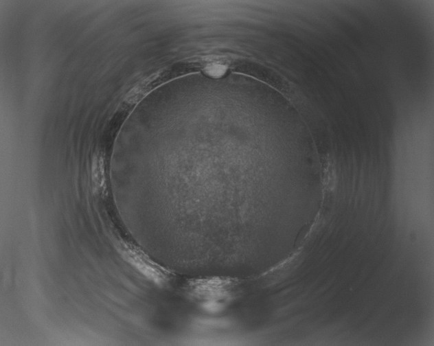 X0000085820182200703161232