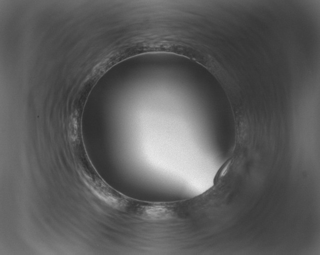 X0000085820183200703161232