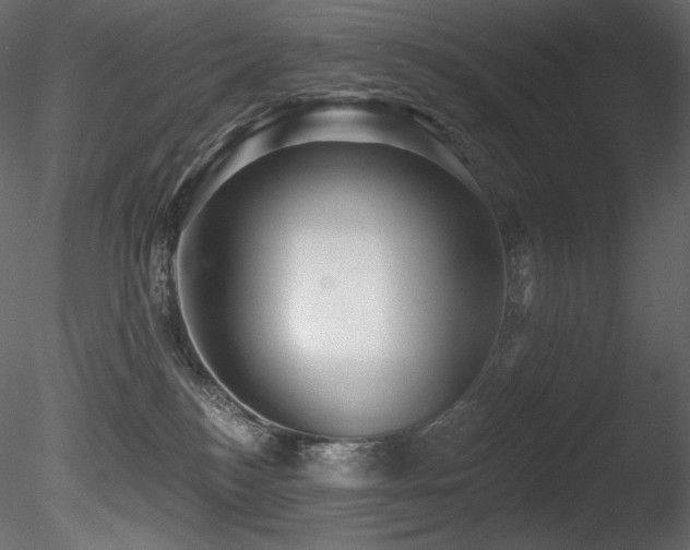 X0000085820184200703161232