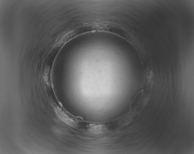 X0000085820185200703161232