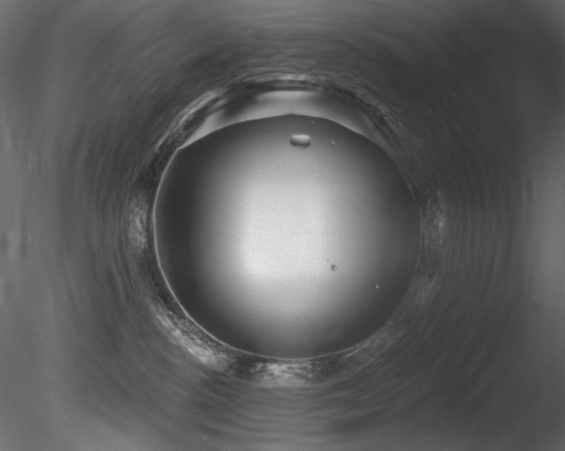 X0000085820188200703161232