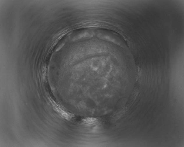 X0000085820189200703161232