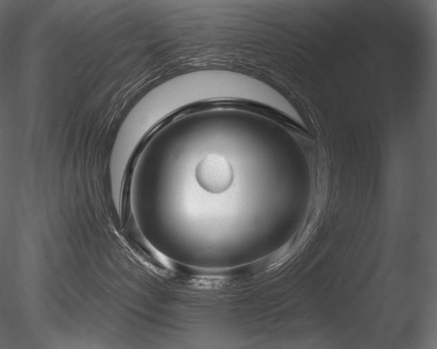 X0000085820192200703161232