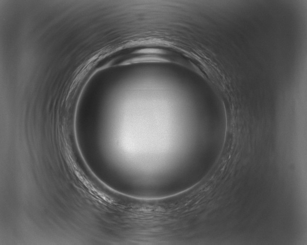 X0000085820193200703161232
