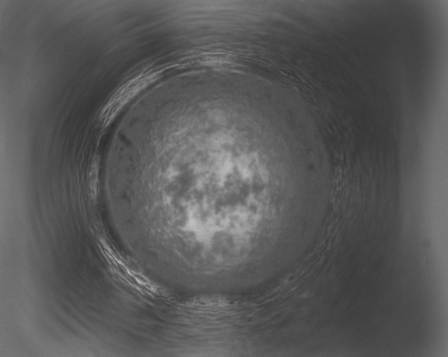 X0000085820194200703161232