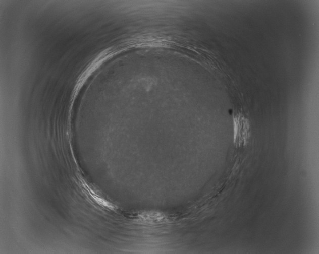 X0000085820195200703161232