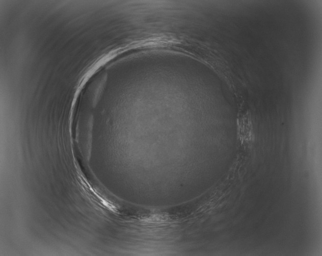 X0000085820196200703161232