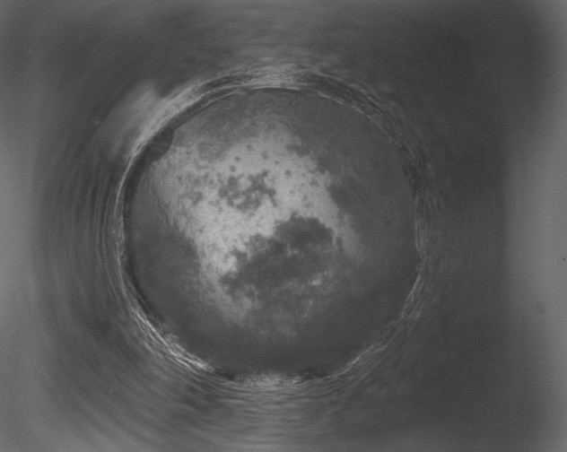 X0000085820198200703161232