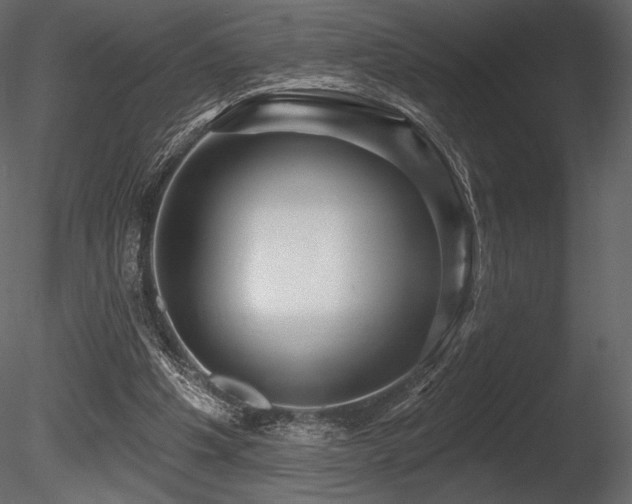 X0000085820201200703161231