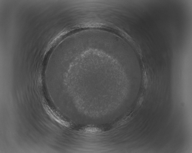 X0000085820203200703161231