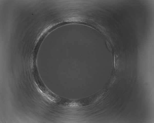 X0000085820204200703161231