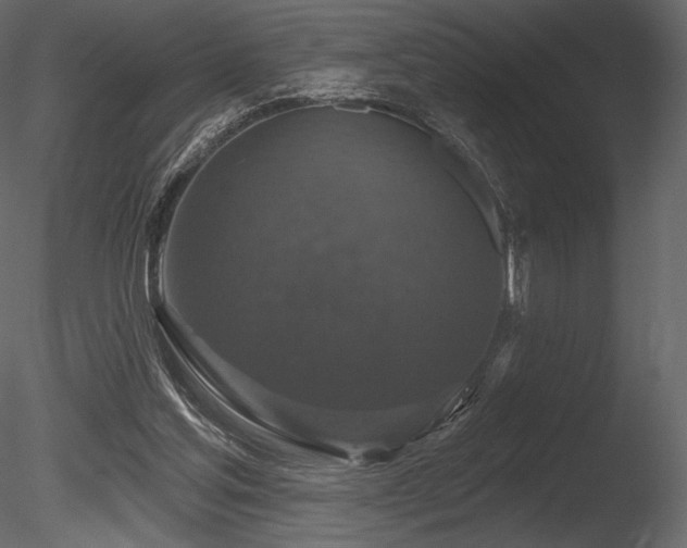 X0000085820205200703161231
