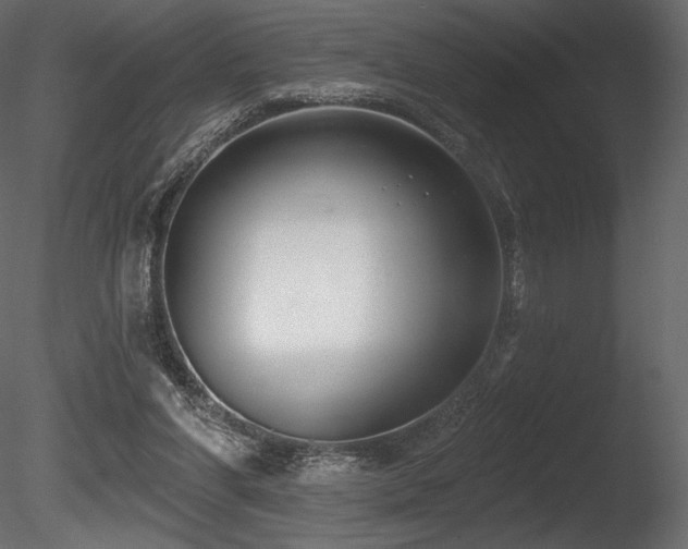 X0000085820206200703161231