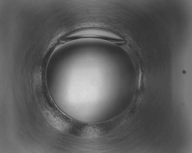 X0000085820207200703161231