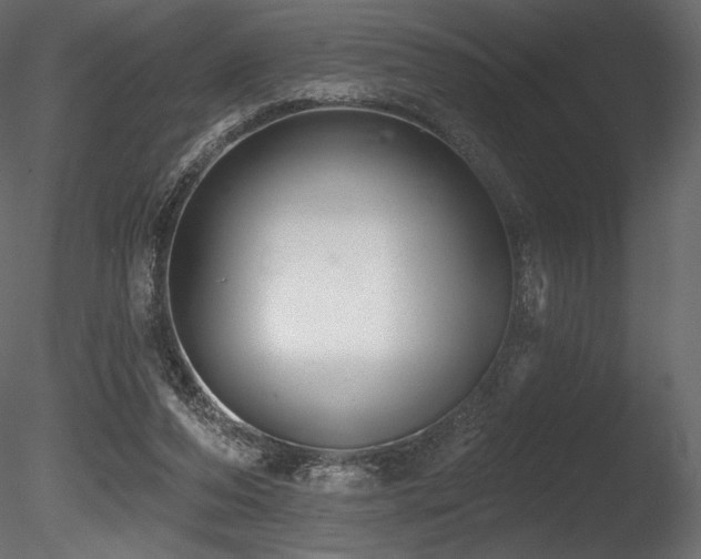 X0000085820208200703161231