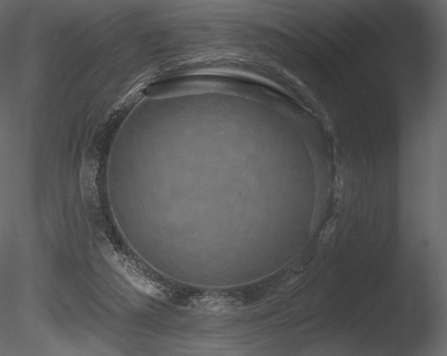 X0000085820209200703161231