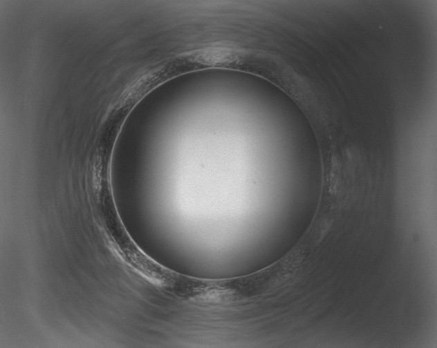 X0000085820210200703161231