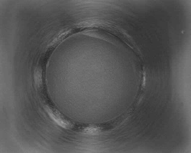 X0000085820213200703161231