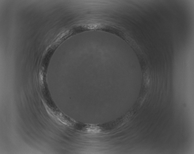X0000085820214200703161231