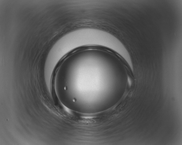 X0000085820215200703161231
