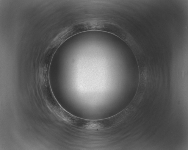 X0000085820218200703161231