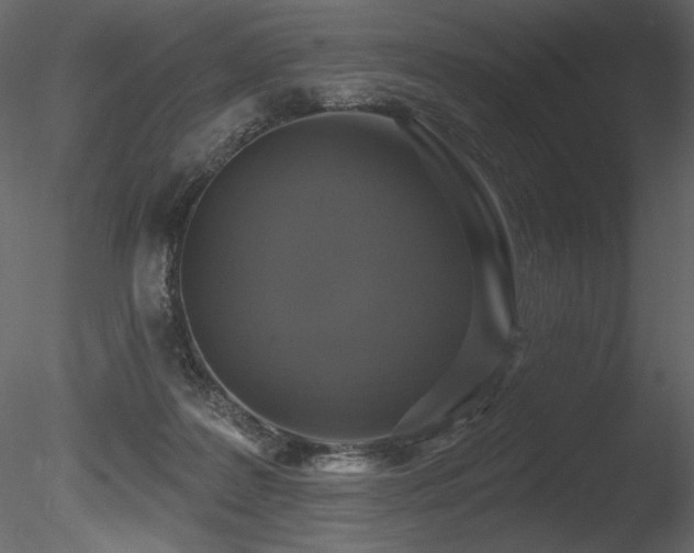 X0000085820219200703161231