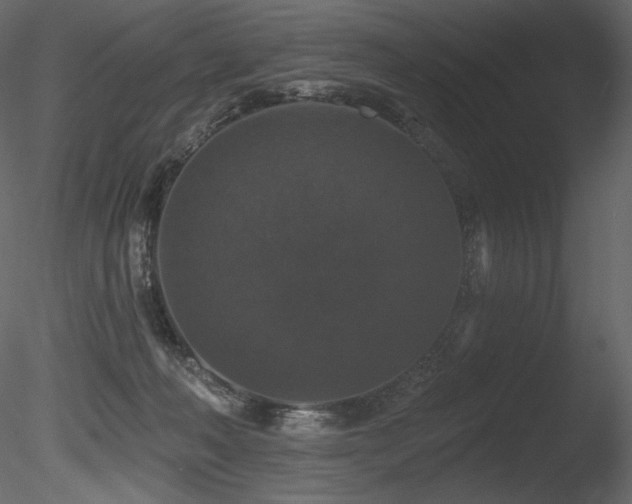 X0000085820222200703161231