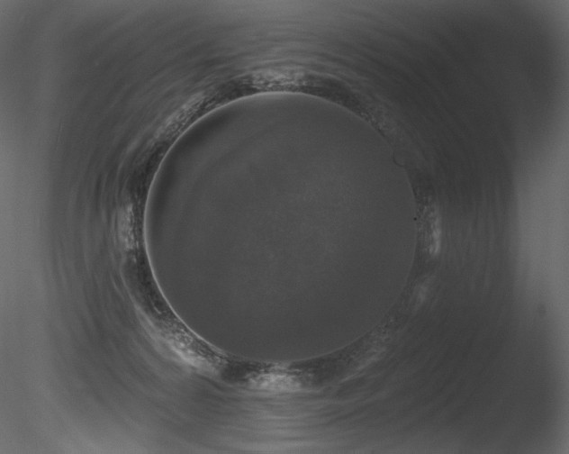 X0000085820224200703161231
