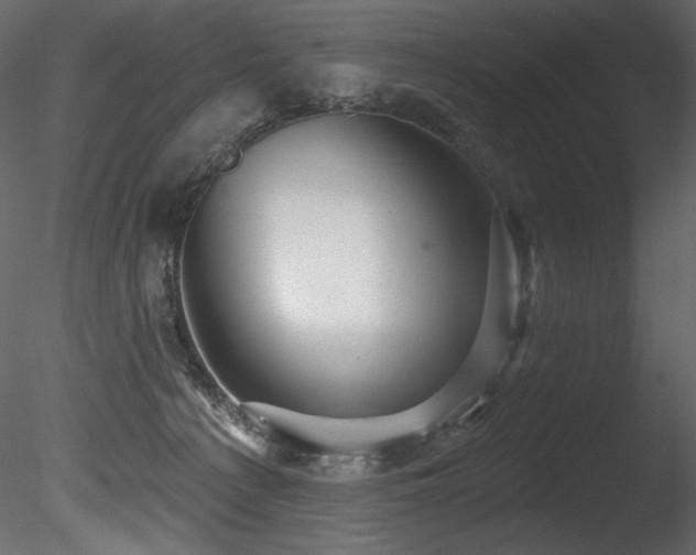 X0000085820225200703161231