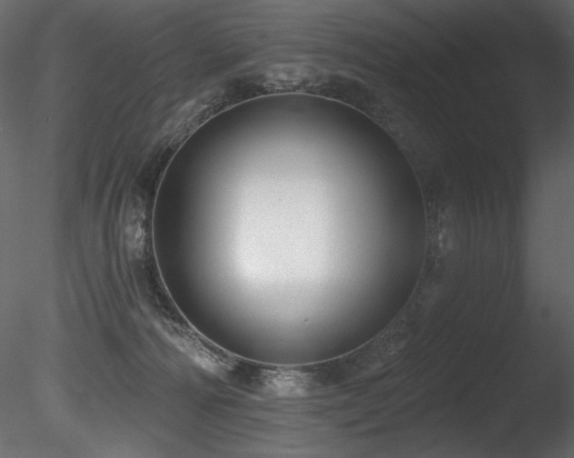 X0000085820226200703161231