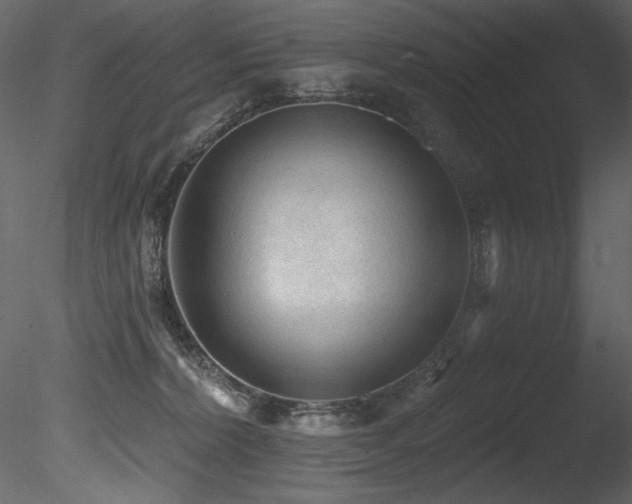 X0000085820228200703161231