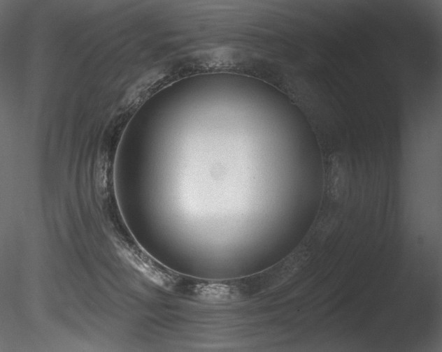 X0000085820230200703161231