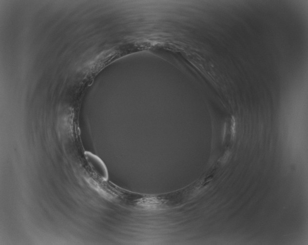 X0000085820231200703161231