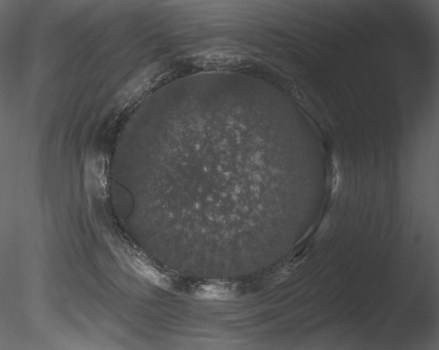 X0000085820232200703161231