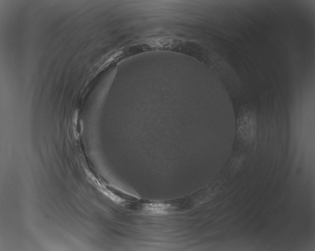 X0000085820233200703161231